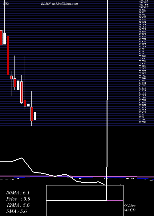 monthly chart BloominBrands