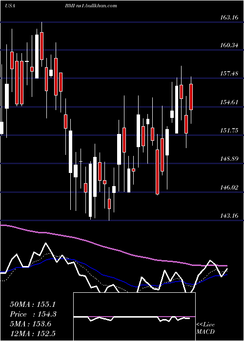  Daily chart BadgerMeter