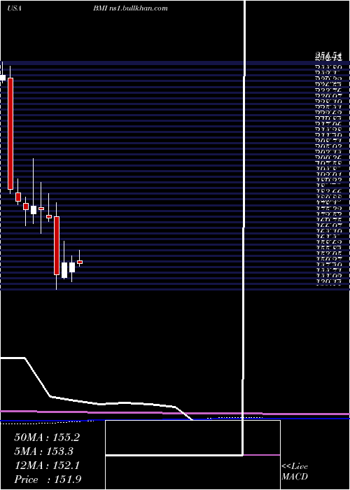  monthly chart BadgerMeter