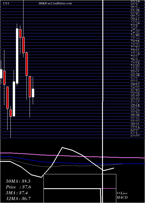  monthly chart BrukerCorporation