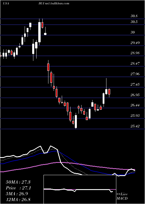  Daily chart BlackrockUtility