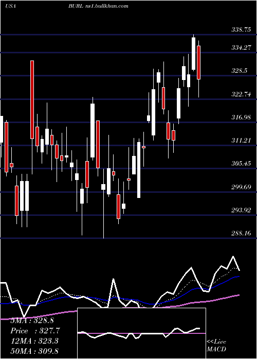  Daily chart BurlingtonStores