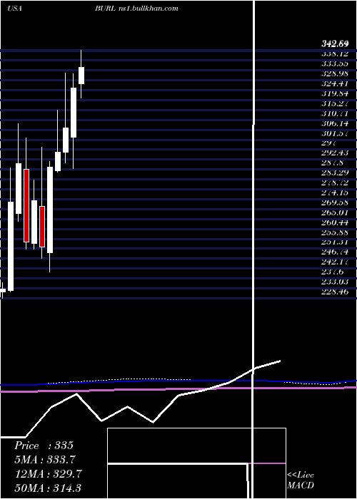  monthly chart BurlingtonStores