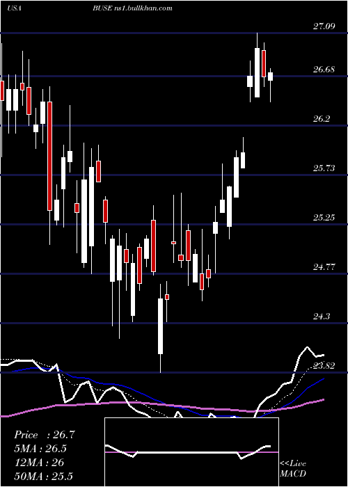  Daily chart FirstBusey
