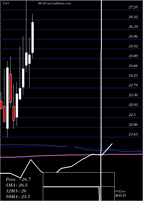  monthly chart FirstBusey