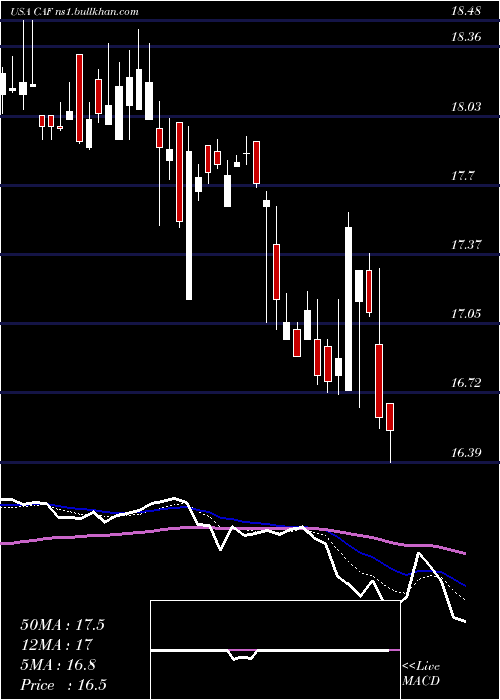  Daily chart MorganStanley