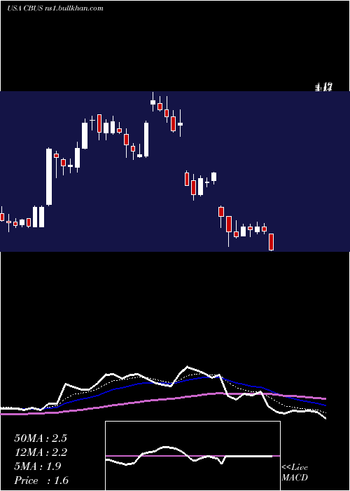  Daily chart CibusCorp