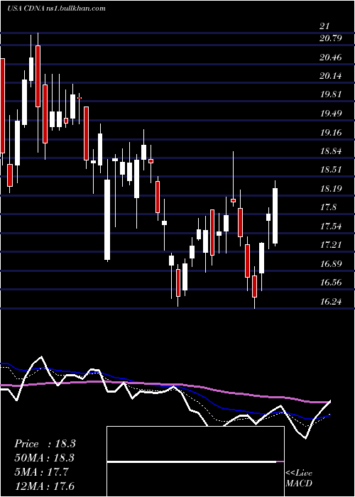  Daily chart CaredxInc