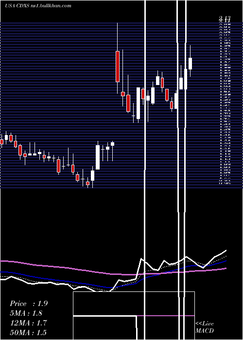  Daily chart CodexisInc
