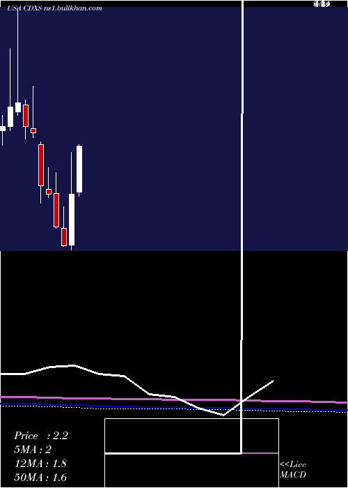  monthly chart CodexisInc