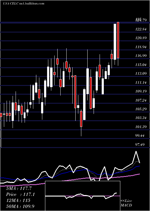  Daily chart CelcuityInc