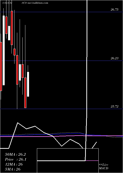  monthly chart ChsInc