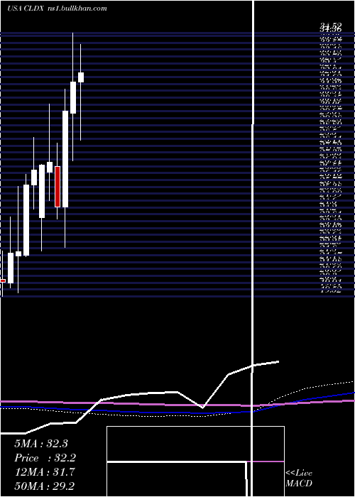  monthly chart CelldexTherapeutics