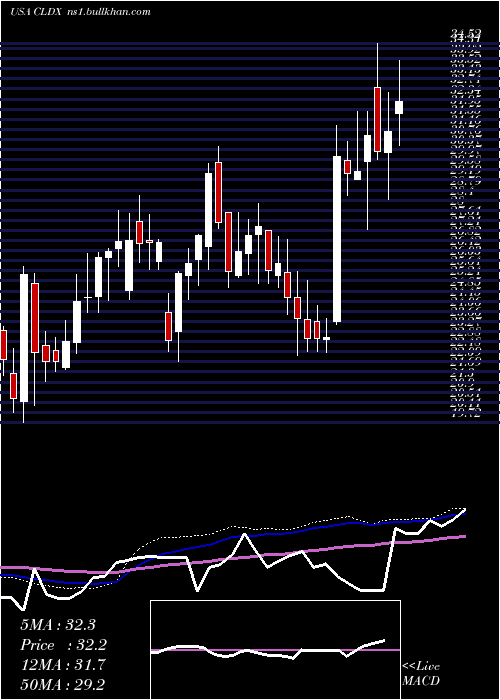  weekly chart CelldexTherapeutics