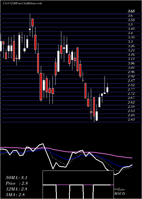 Daily chart CellectarBiosciences