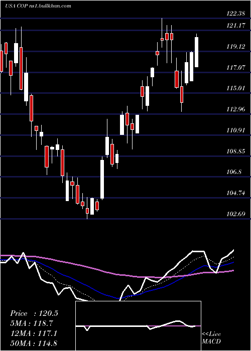  Daily chart Conocophillips