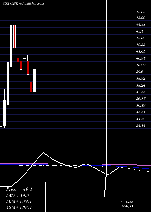  monthly chart WisdomtreeChina