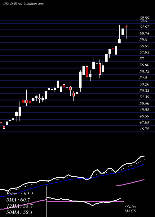  Daily chart DarlingIngredients