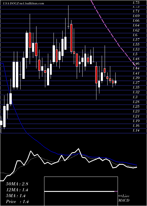  Daily chart DognessInternational