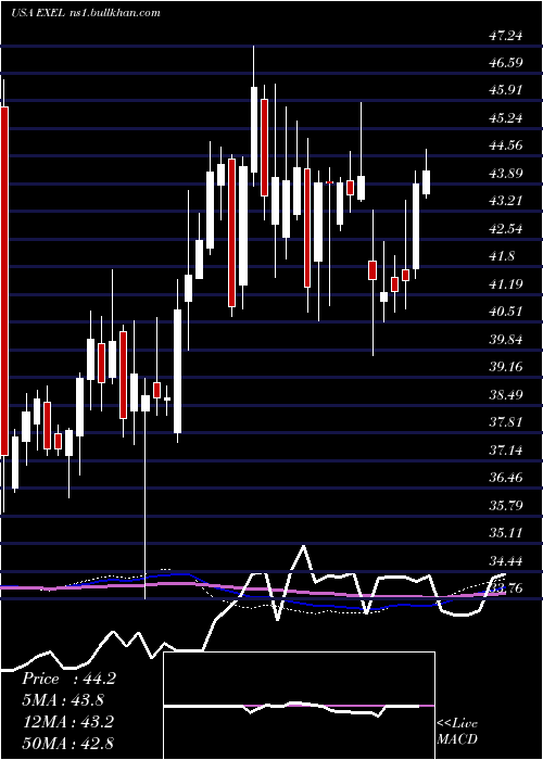  weekly chart ExelixisInc