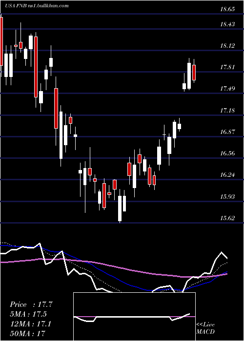  Daily chart FN