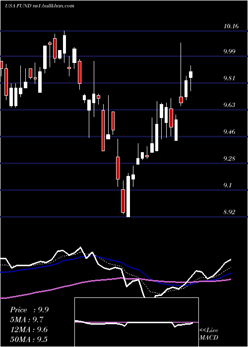  Daily chart SprottFocus
