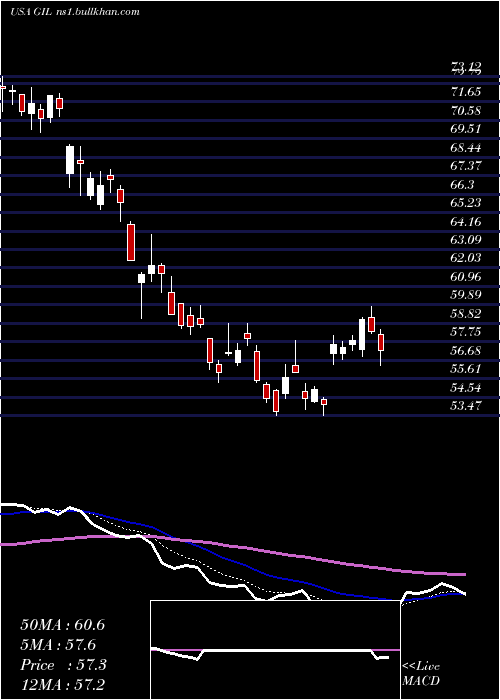 Daily chart GildanActivewear