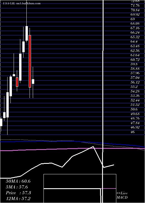  monthly chart GildanActivewear