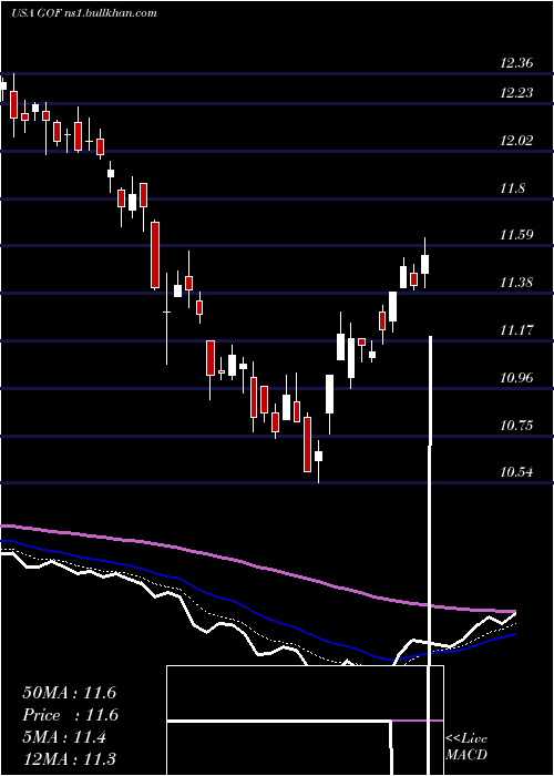  Daily chart GuggenheimStrategic