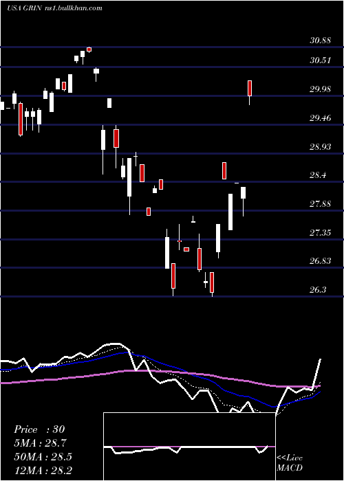  Daily chart GrindrodShipping