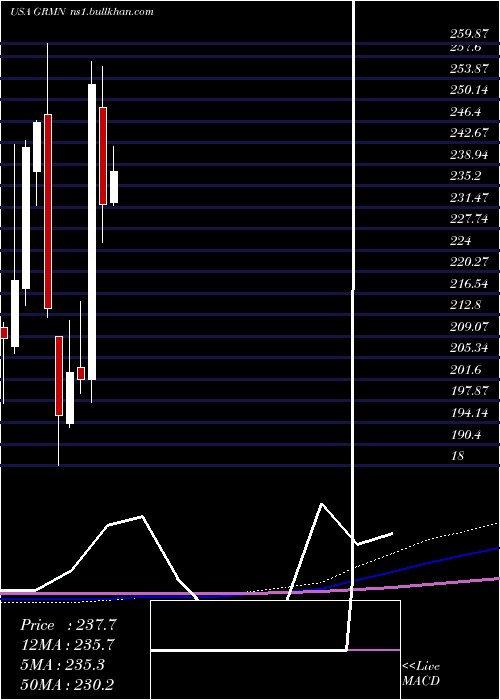  monthly chart Garmin