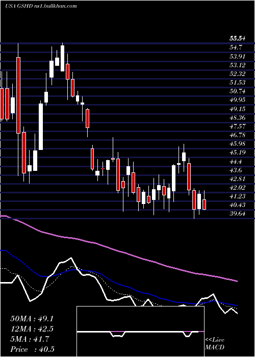  Daily chart GooseheadInsurance