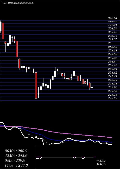  Daily chart InternationalBusiness