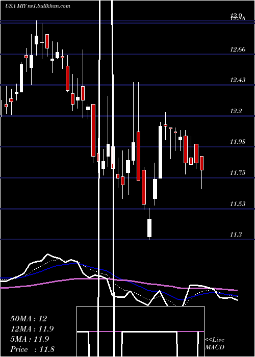  Daily chart BlackrockMuniyield