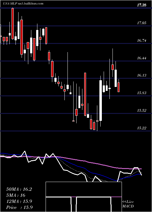  Daily chart MauiLand