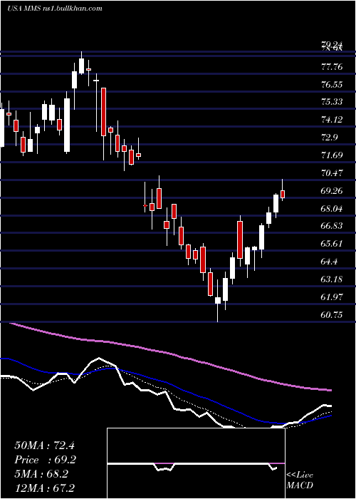  Daily chart MaximusInc