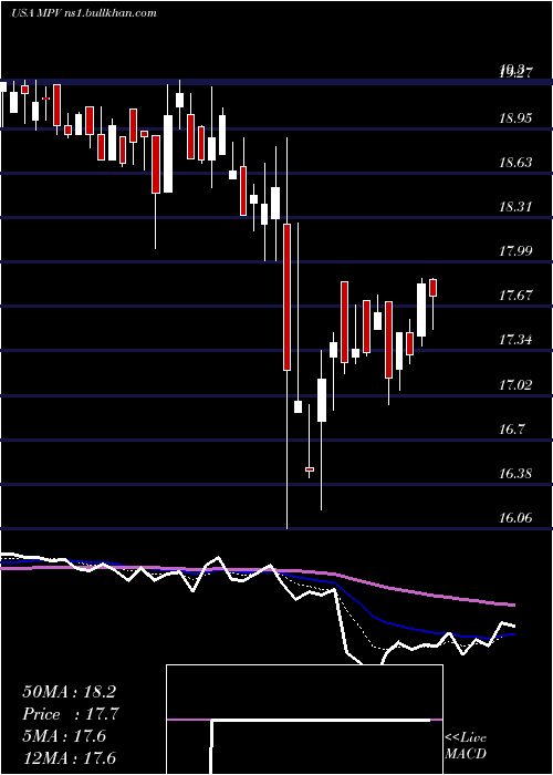  Daily chart BaringsParticipation