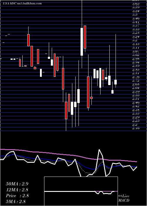  Daily chart StudioCity