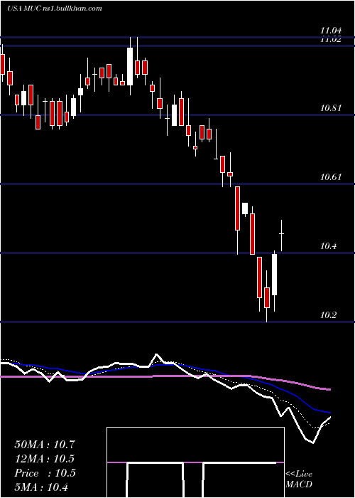  Daily chart BlackrockMuniholdings