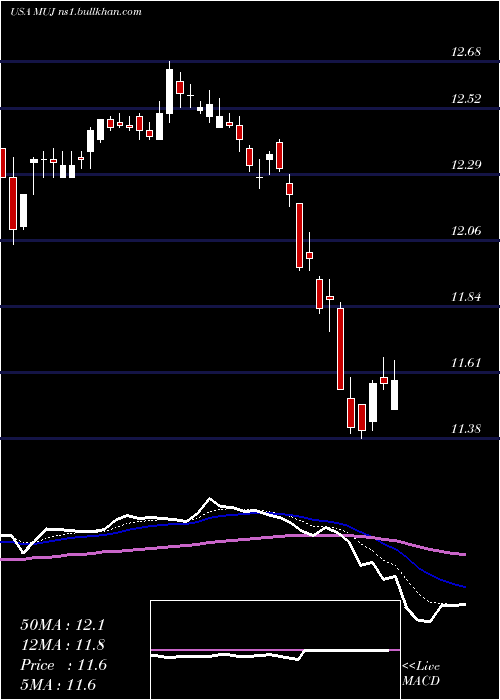  Daily chart BlackrockMuniholdings