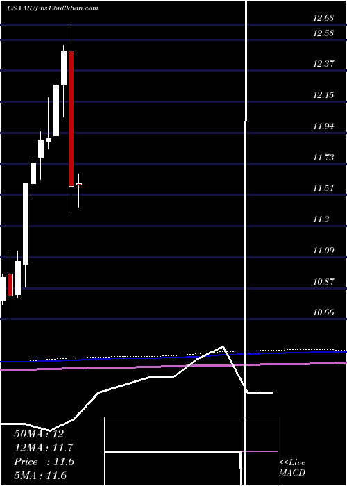  monthly chart BlackrockMuniholdings