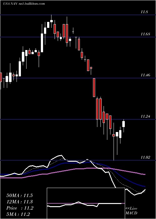  Daily chart NuveenNew