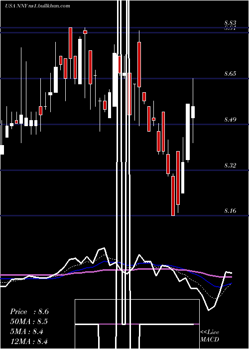  Daily chart NuveenNew