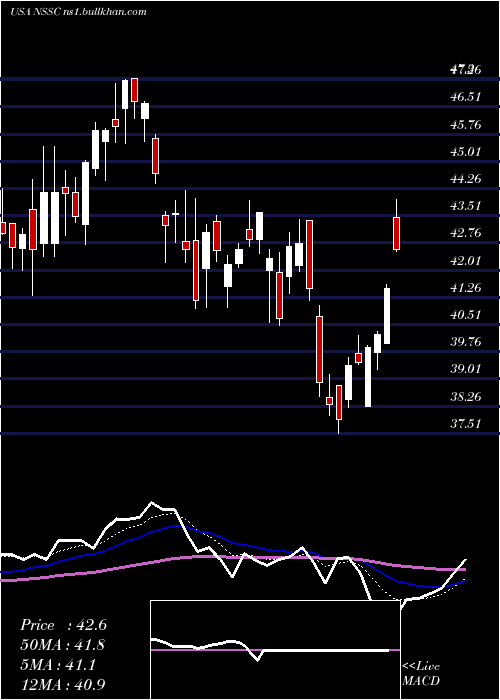  Daily chart NapcoSecurity