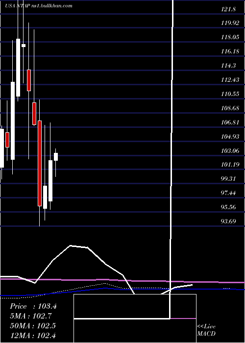 monthly chart NetappInc