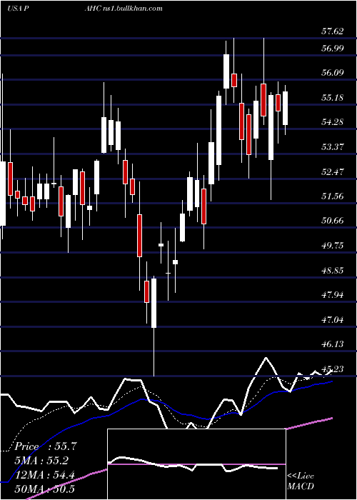  Daily chart PhibroAnimal