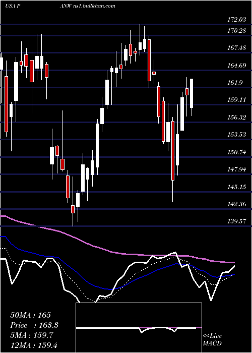  Daily chart PaloAlto