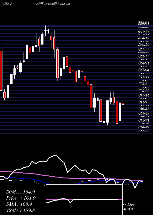 weekly chart PaloAlto