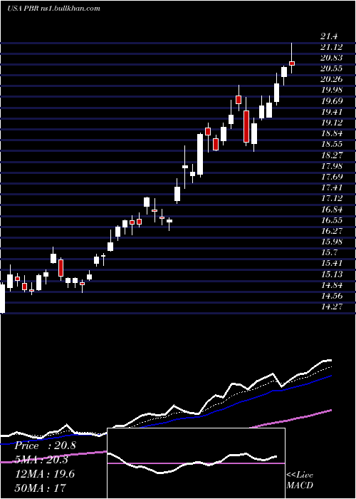  Daily chart PetroleoBrasileiro