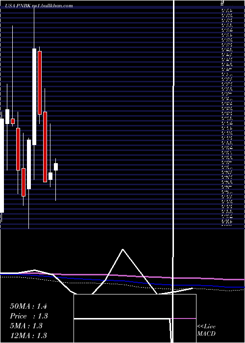  monthly chart PatriotNational
